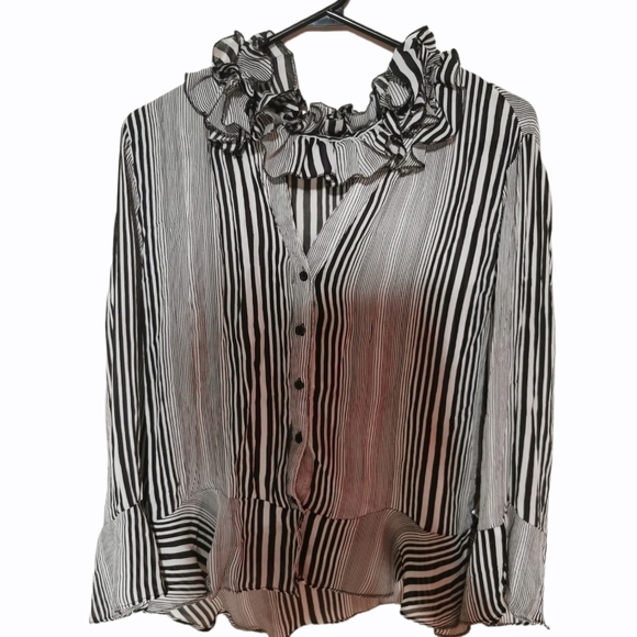 ALLISON Taylor long sleeve blouse shirt - Picture 2 of 4